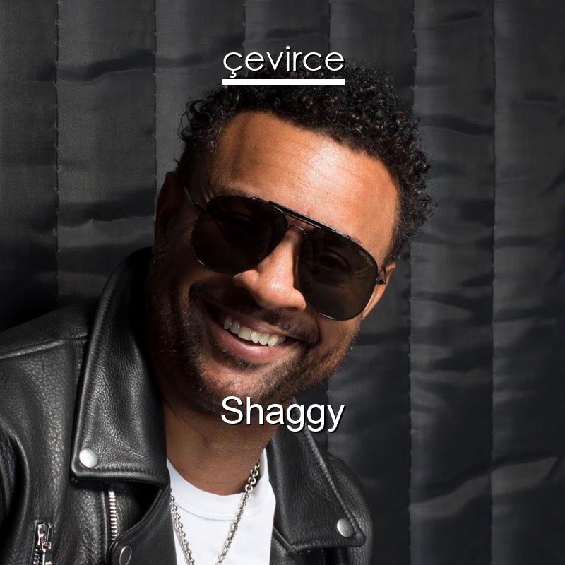 Shaggy