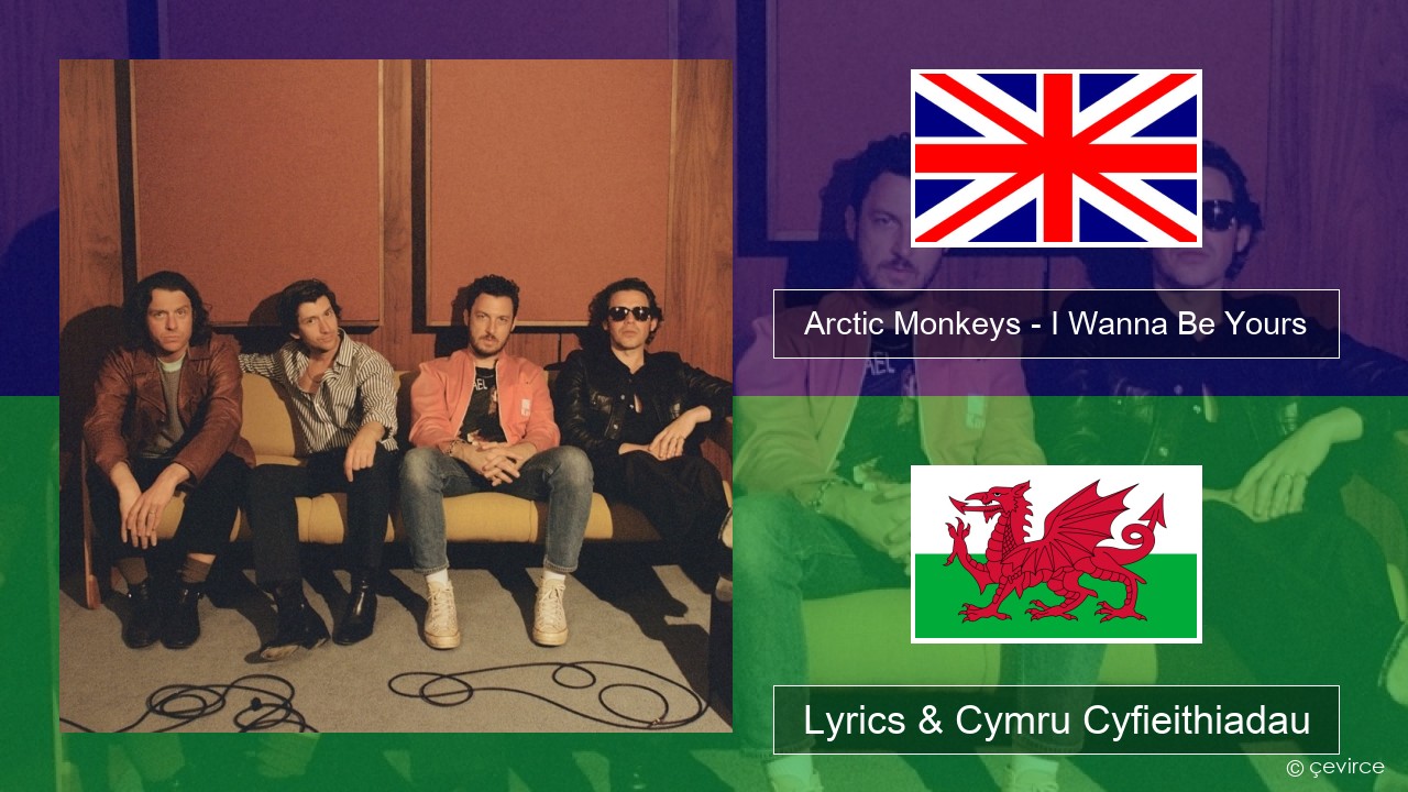 Arctic Monkeys – I Wanna Be Yours Saesneg Lyrics & Cymru Cyfieithiadau