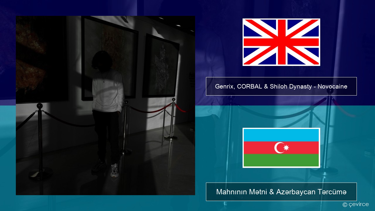 Genrix, CORBAL & Shiloh Dynasty – Novocaine İngilis dili Mahnının Mətni & Azərbaycan Tərcümə