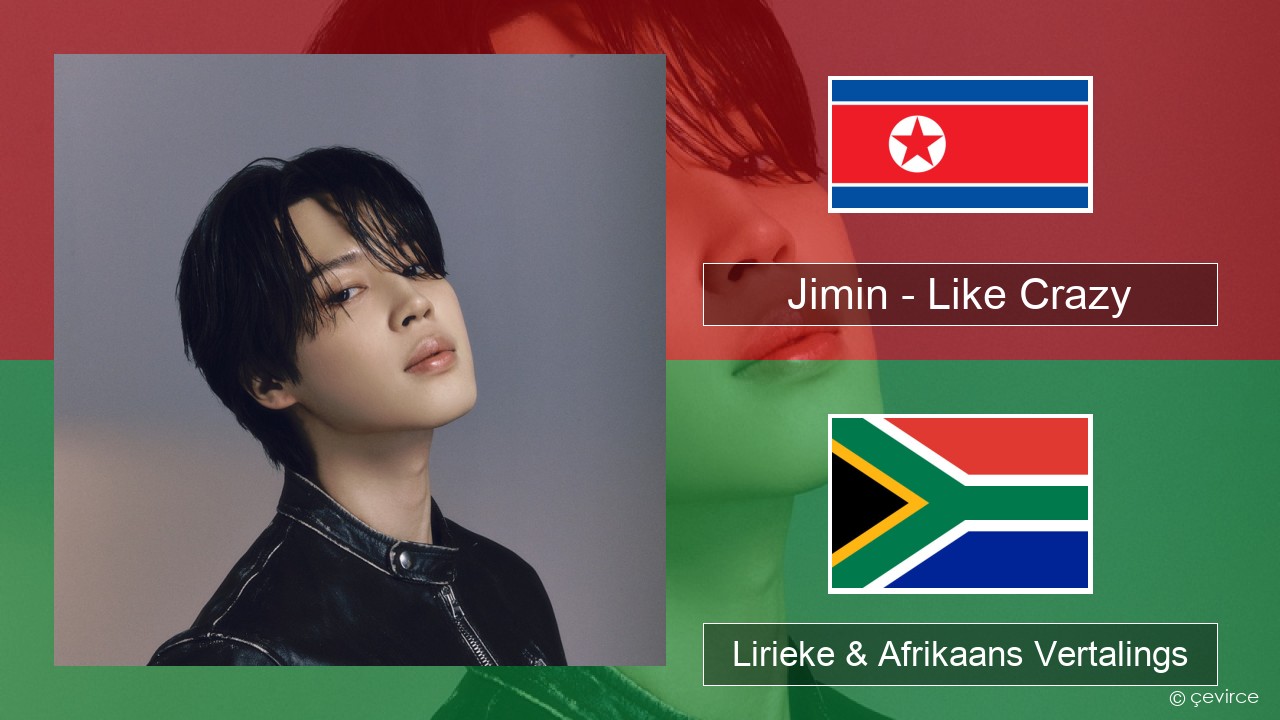 Jimin – Like Crazy Koreaans Lirieke & Afrikaans Vertalings