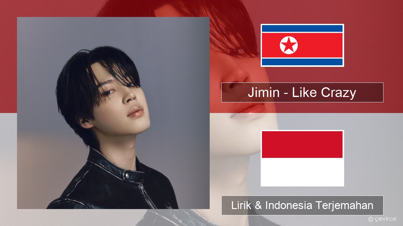 Jimin – Like Crazy Korea Lirik & Indonesia Terjemahan