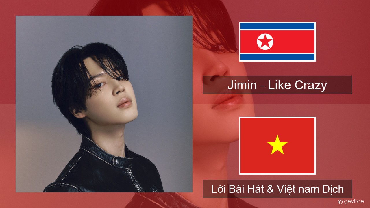 Jimin – Like Crazy Hàn quốc Lời Bài Hát & Việt nam Dịch