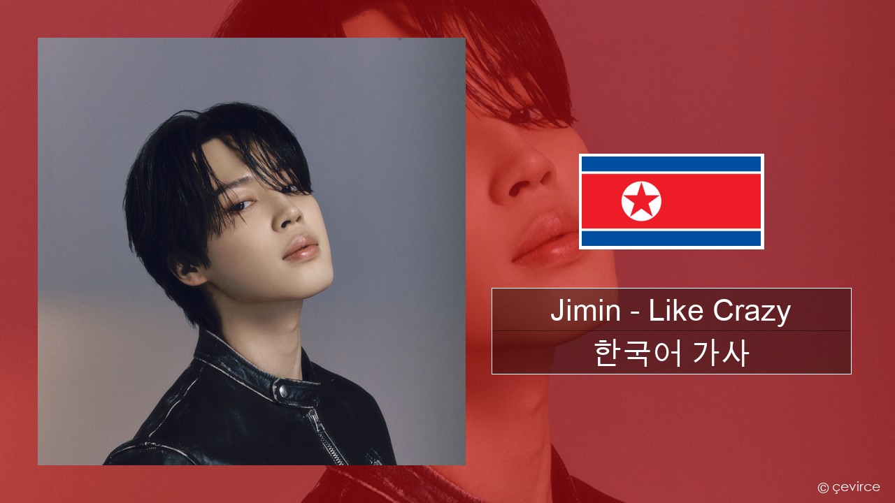 Jimin – Like Crazy 한국어 가사