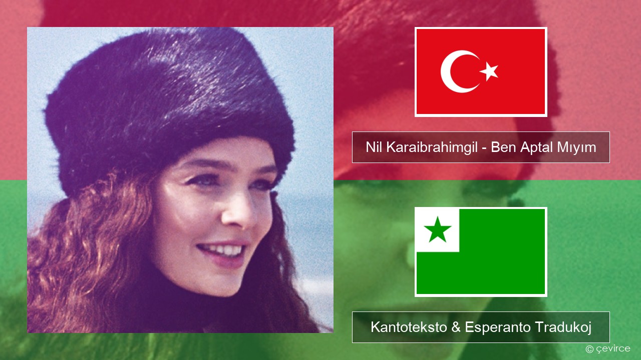 Nil Karaibrahimgil – Ben Aptal Mıyım Turka Kantoteksto & Esperanto Tradukoj