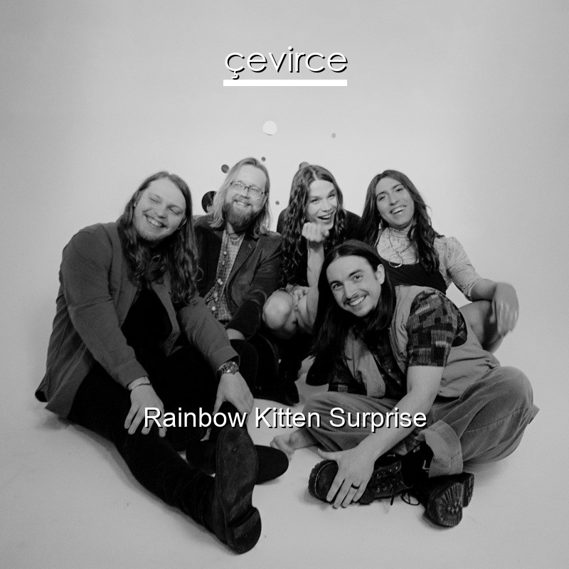 Rainbow Kitten Surprise