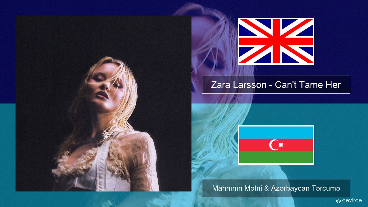 Zara Larsson – Can’t Tame Her İngilis dili Mahnının Mətni & Azərbaycan Tərcümə