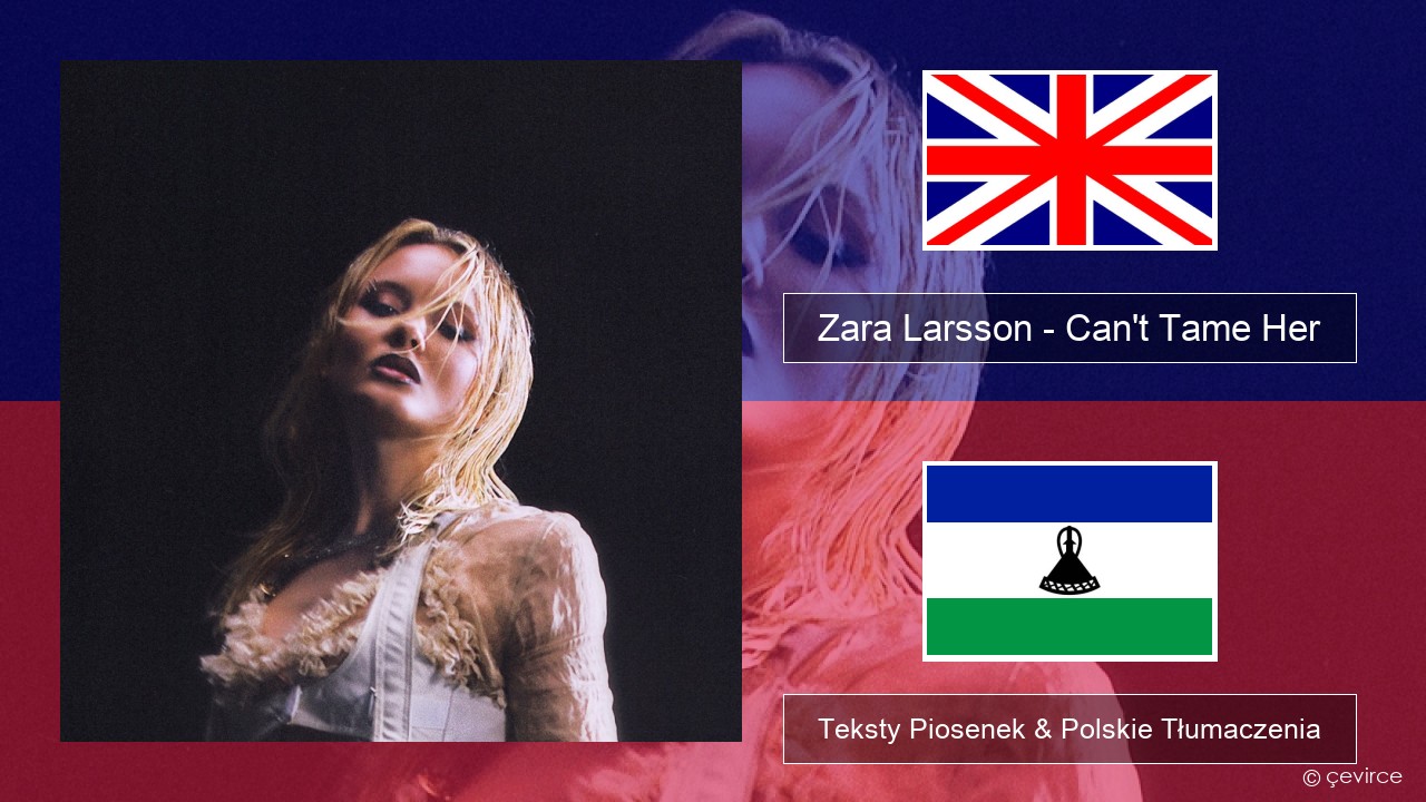 Zara Larsson – Can’t Tame Her Polski Teksty Piosenek & Polskie Tłumaczenia