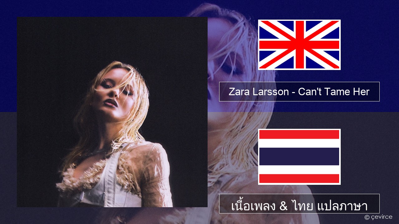 Zara Larsson – Can’t Tame Her ภาษาไทย เนื้อเพลง & ไทย แปลภาษา