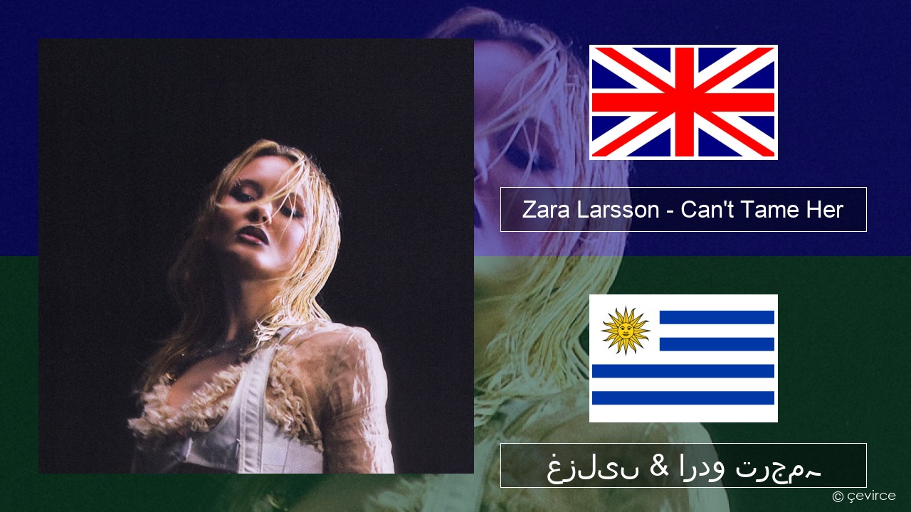 Zara Larsson – Can’t Tame Her انگریزی غزلیں & اردو ترجمہ