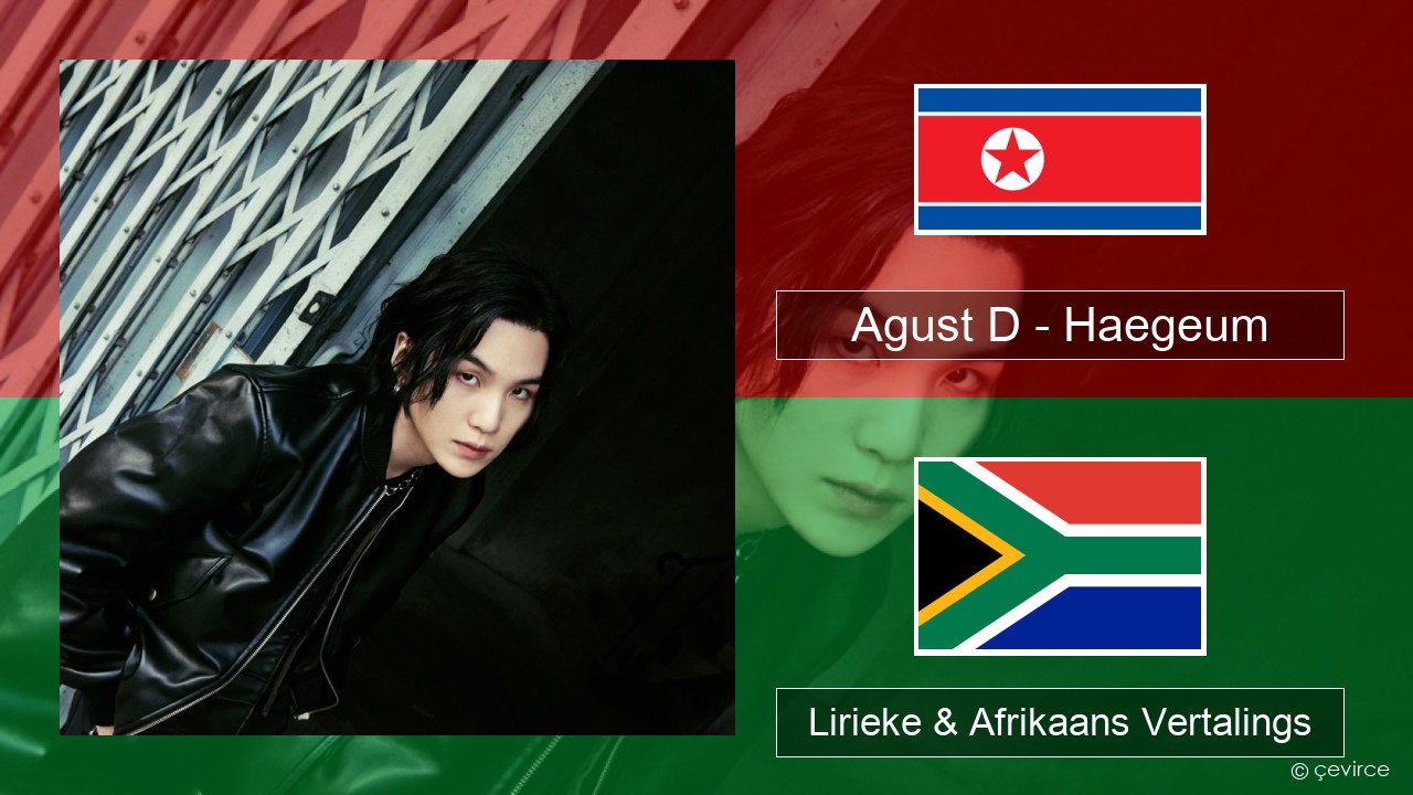 Agust D – Haegeum Koreaans Lirieke & Afrikaans Vertalings