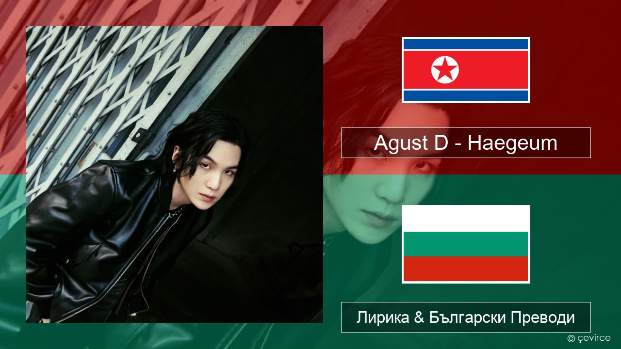 Agust D – Haegeum Корейски Лирика & Български Преводи
