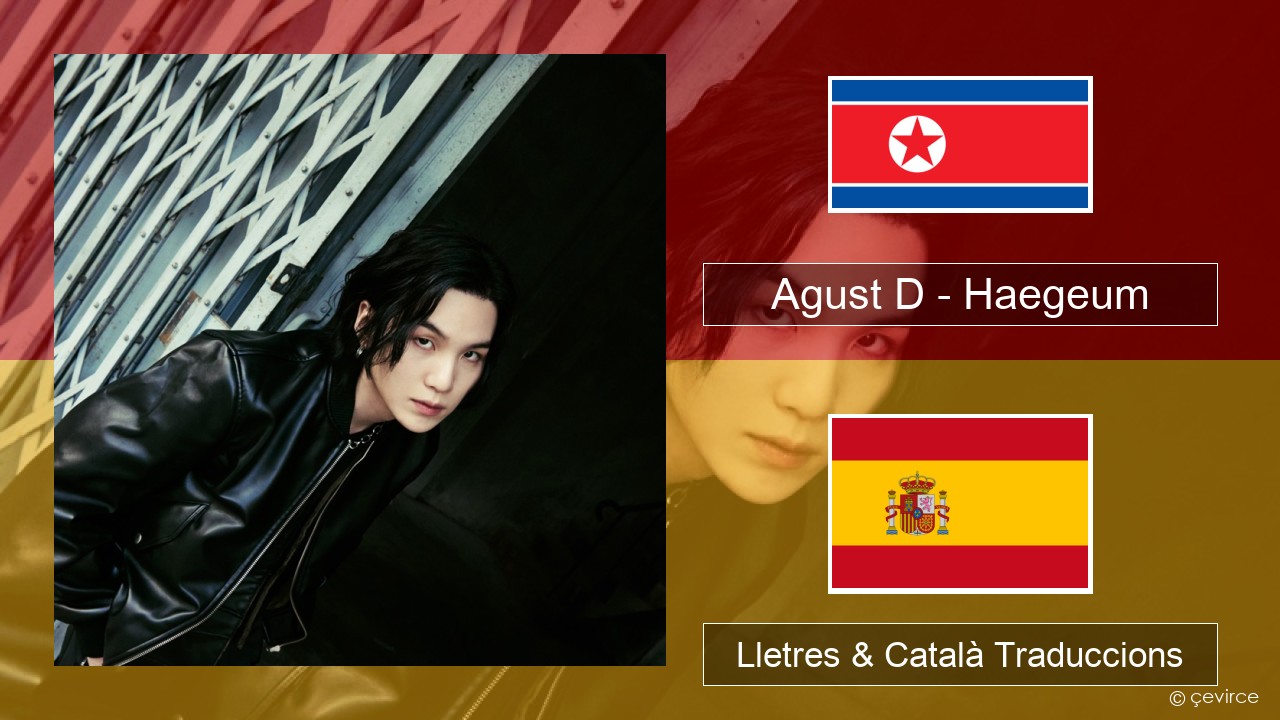 Agust D – Haegeum Coreà Lletres & Català Traduccions