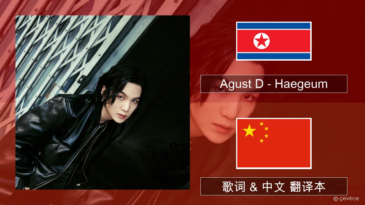 Agust D – Haegeum 韩国人 歌词 & 中文 翻译本