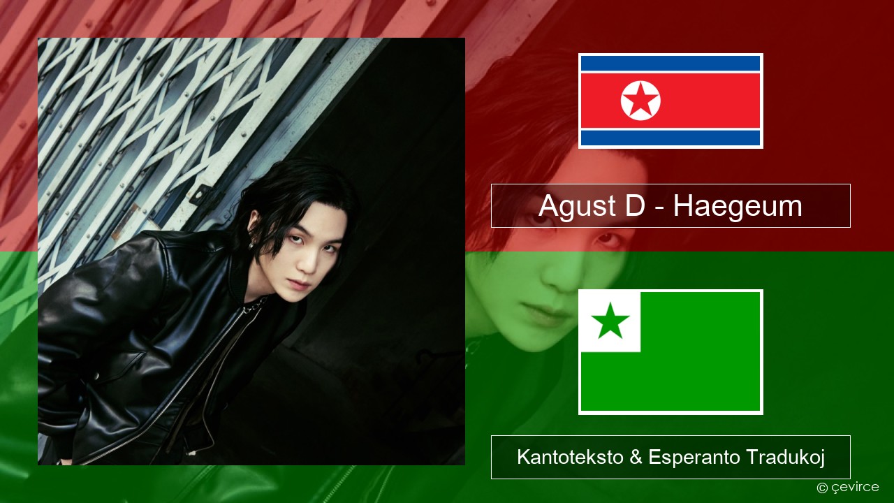 Agust D – Haegeum Korea Kantoteksto & Esperanto Tradukoj