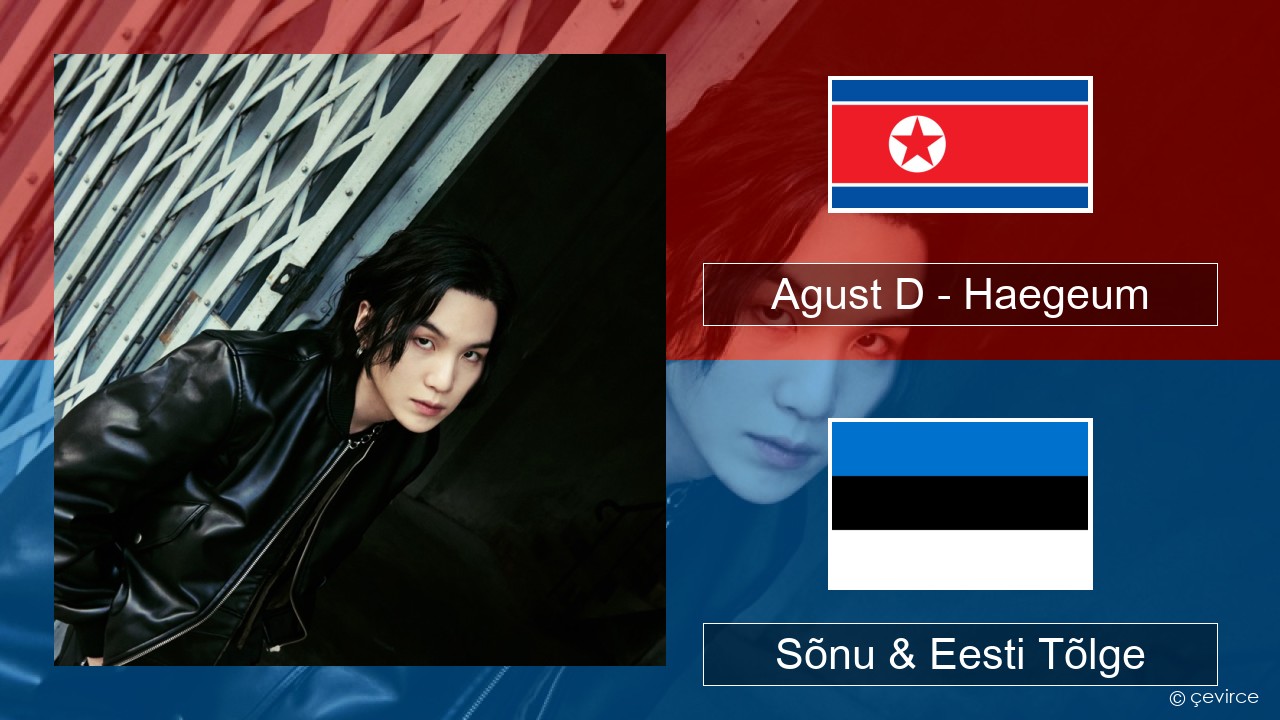 Agust D – Haegeum Korea Sõnu & Eesti Tõlge