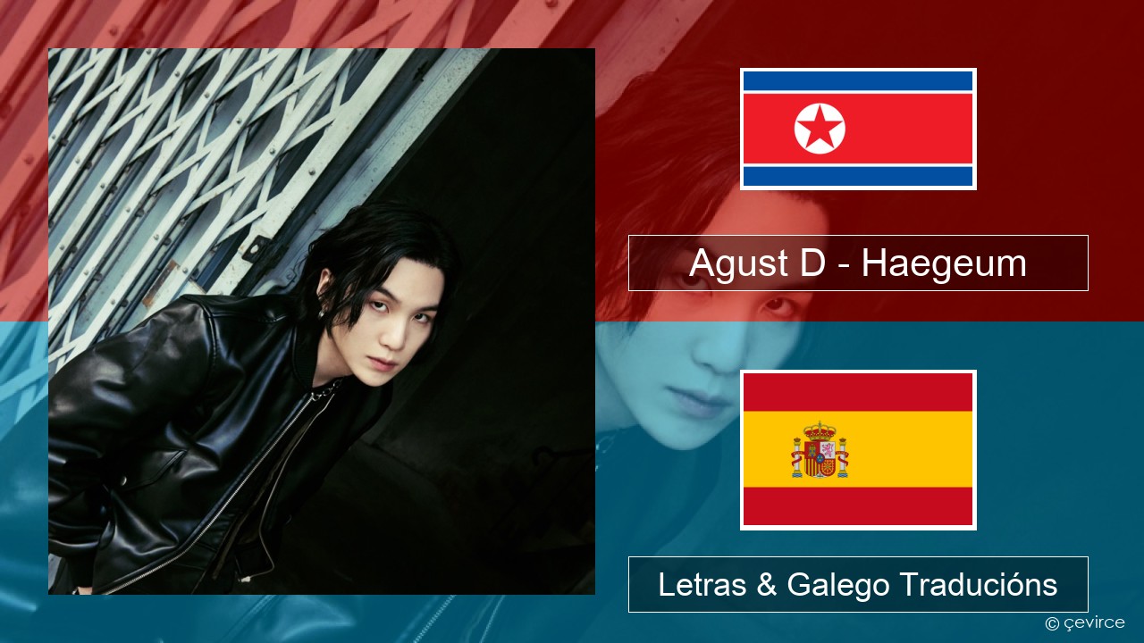 Agust D – Haegeum Coreano Letras & Galego Traducións