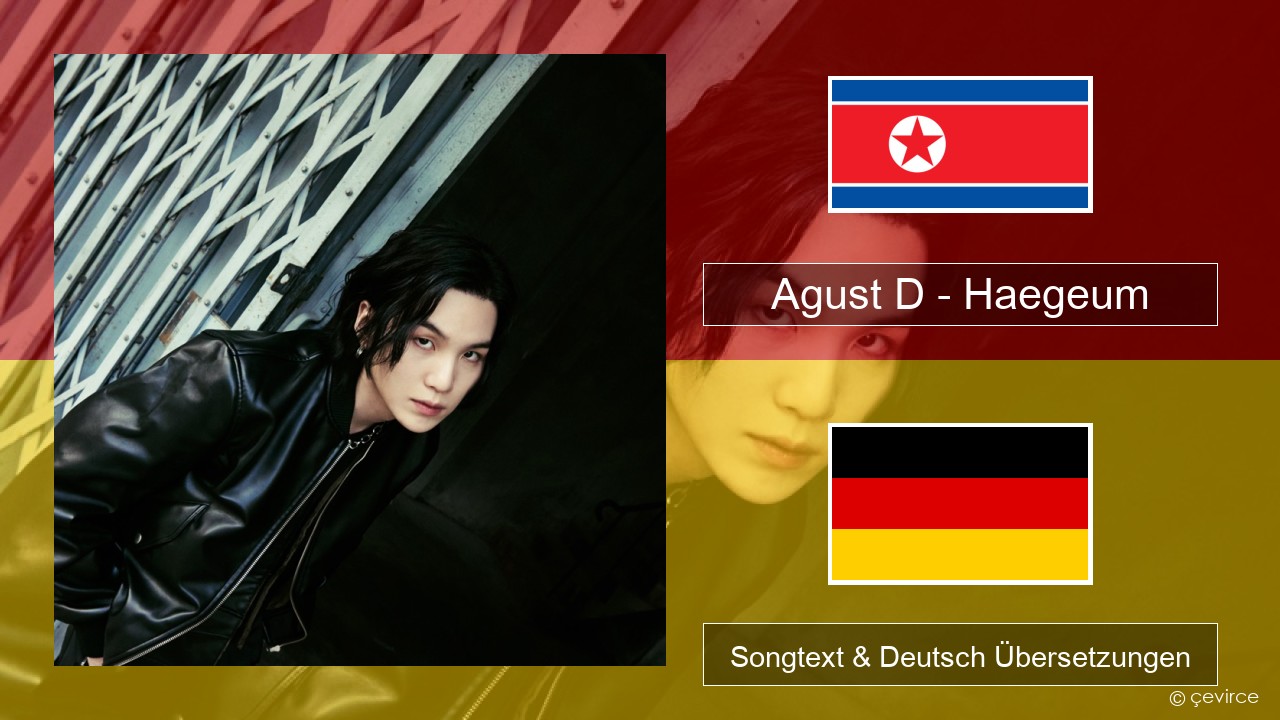 Agust D – Haegeum Koreanisch Songtext & Deutsch Übersetzungen