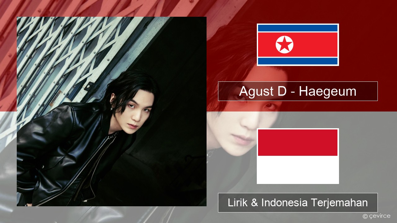 Agust D – Haegeum Korea Lirik & Indonesia Terjemahan