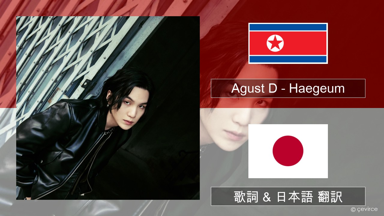 Agust D – Haegeum 韓国語 歌詞 & 日本語 翻訳