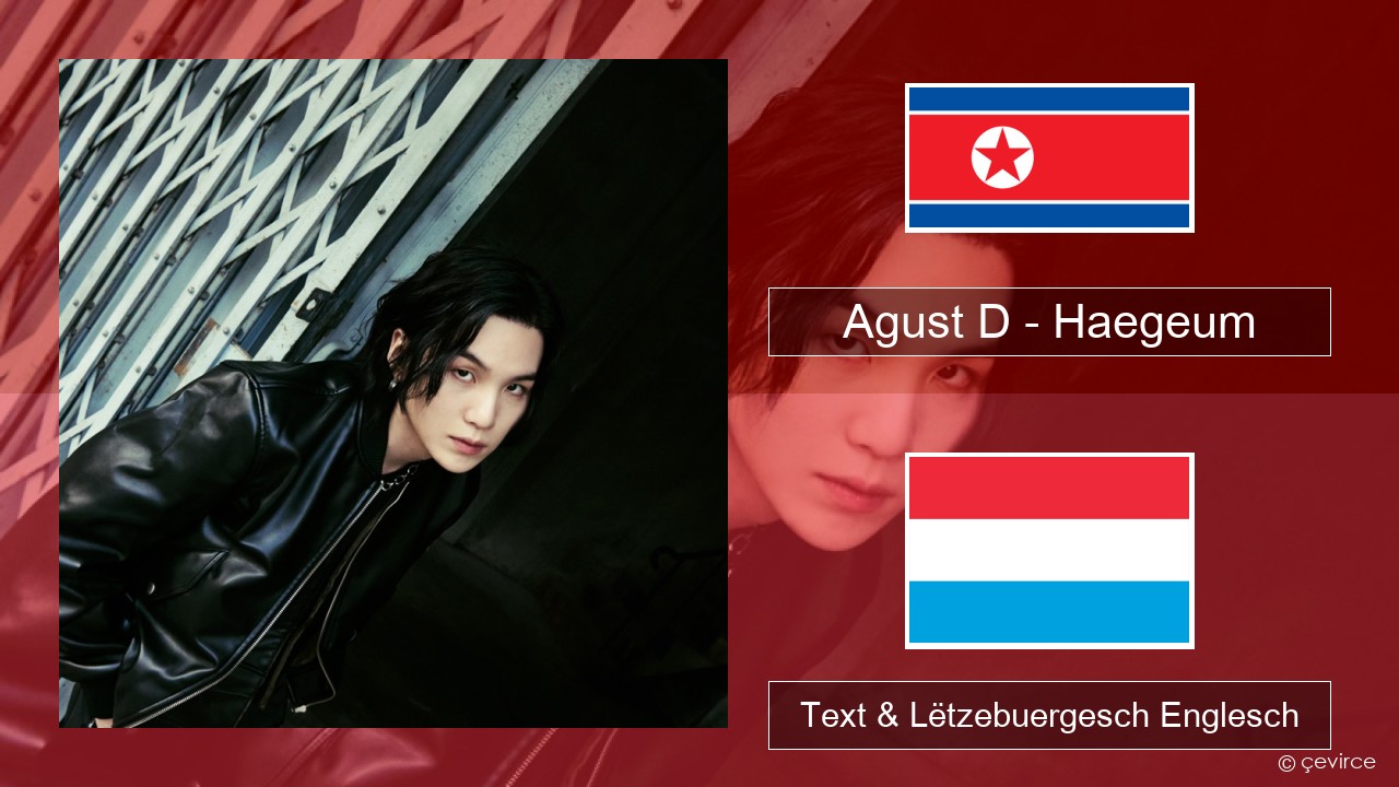 Agust D – Haegeum Um spaweck Text & Lëtzebuergesch Englesch
