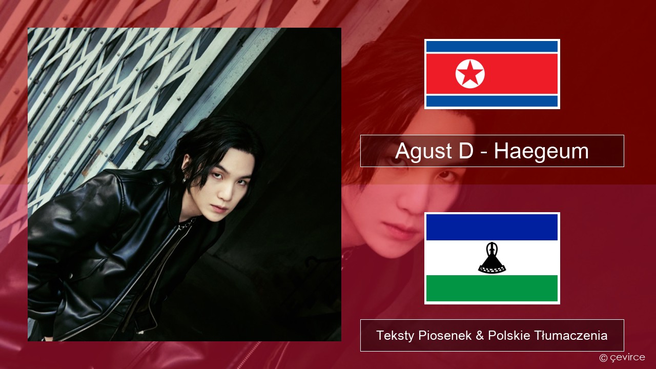 Agust D – Haegeum Koreański Teksty Piosenek & Polskie Tłumaczenia