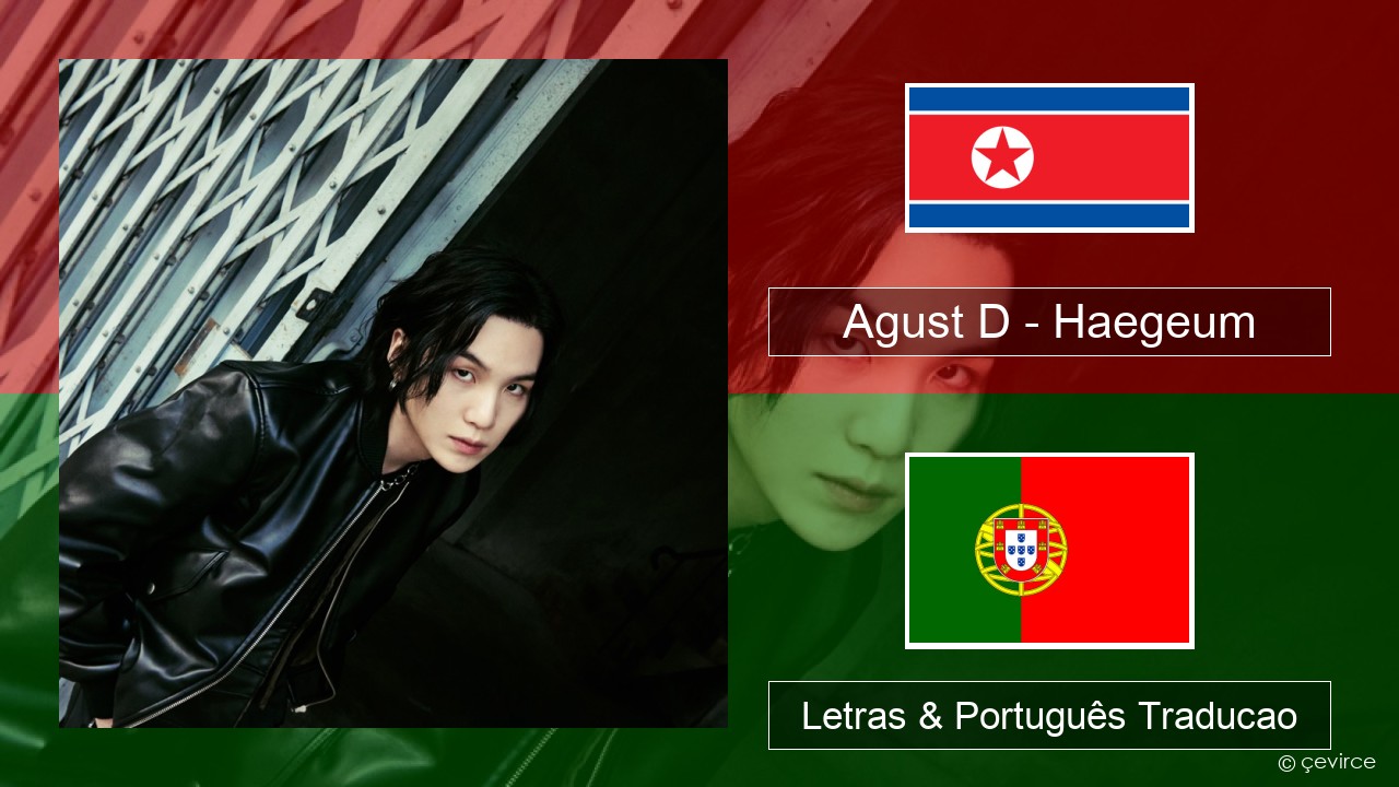 Agust D – Haegeum Coreano Letras & Português Traducao