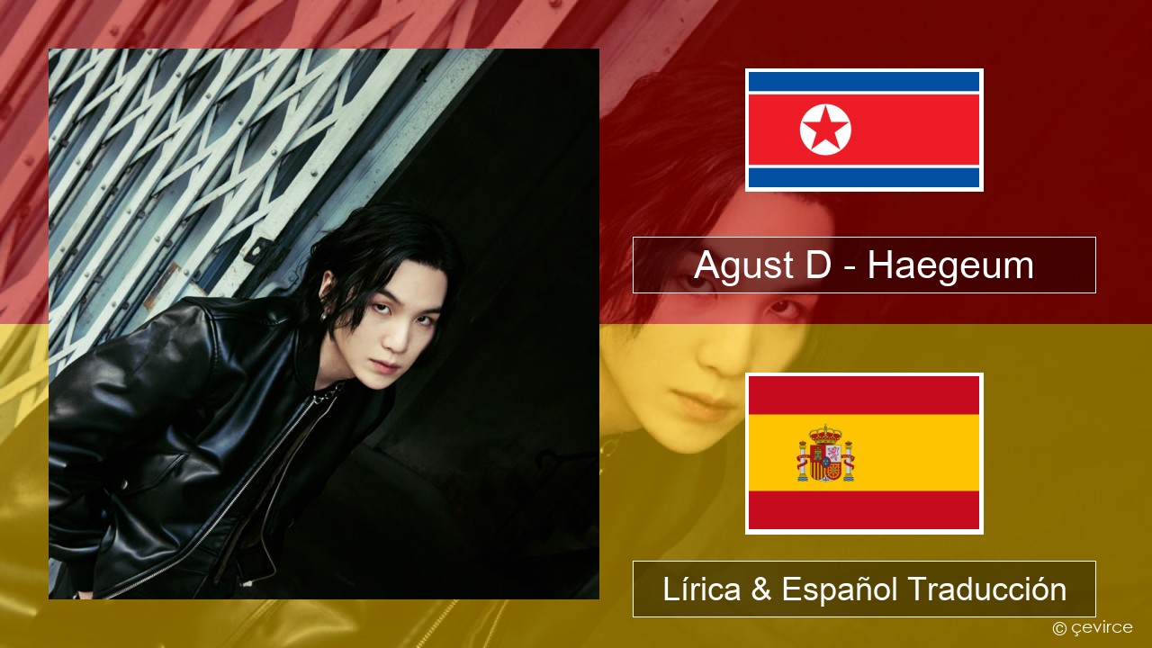 Agust D – Haegeum Coreano Lírica & Español Traducción