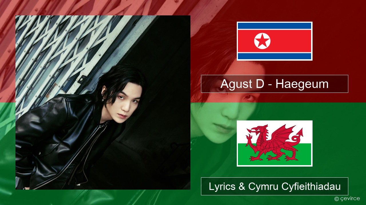 Agust D – Haegeum Corea Lyrics & Cymru Cyfieithiadau