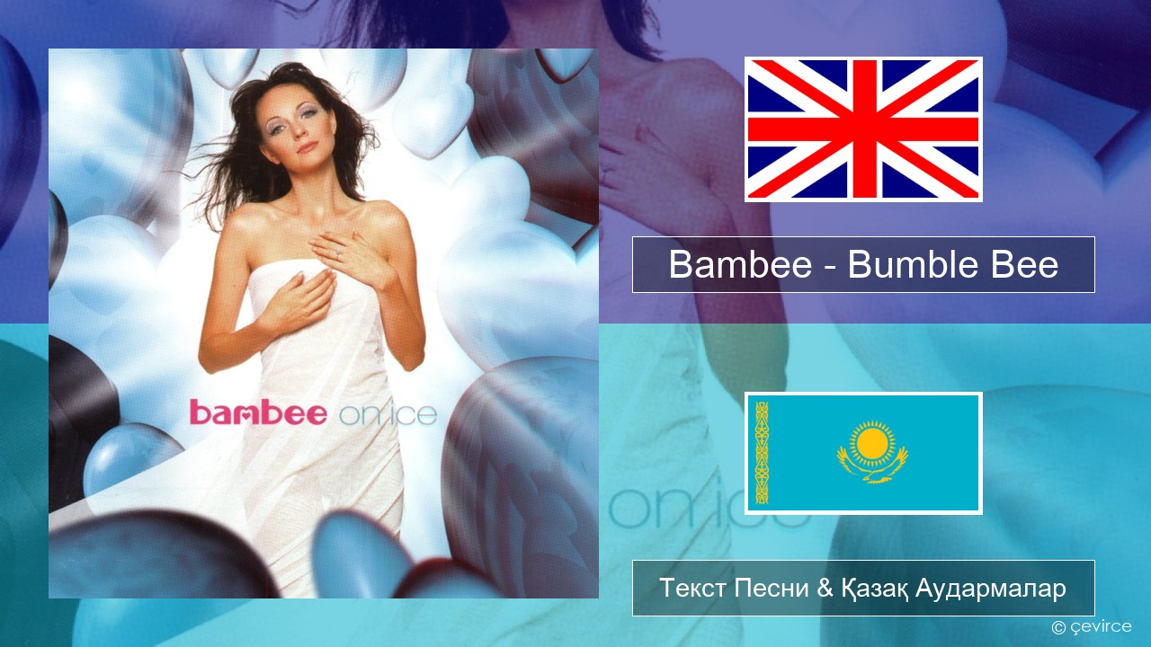 Bambee – Bumble Bee Ағылшын Текст Песни & Қазақ Аудармалар