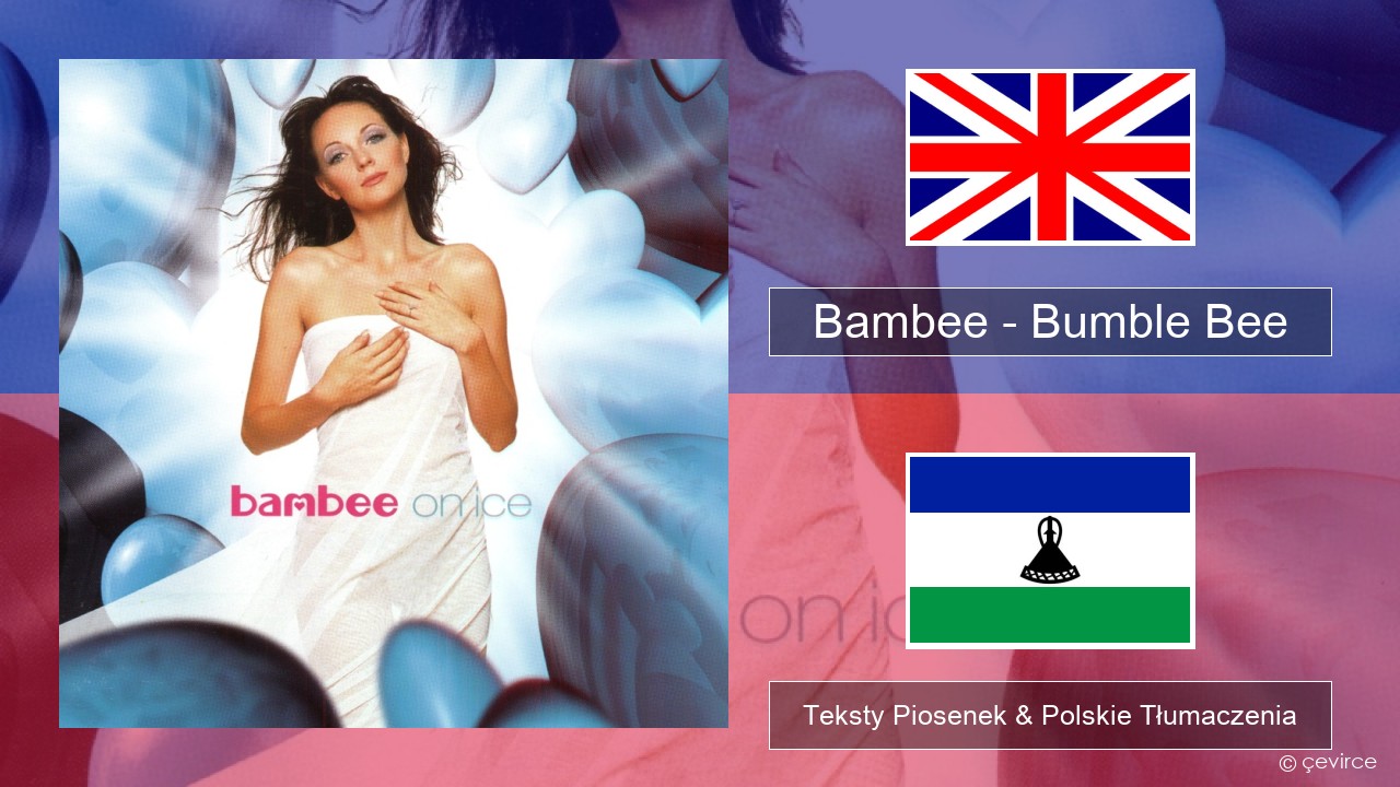 Bambee – Bumble Bee Polski Teksty Piosenek & Polskie Tłumaczenia