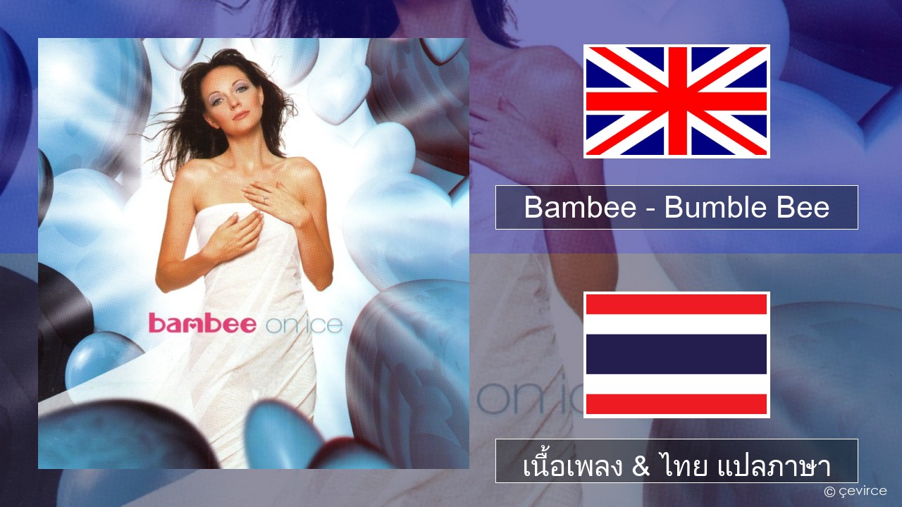 Bambee – Bumble Bee ภาษาไทย เนื้อเพลง & ไทย แปลภาษา