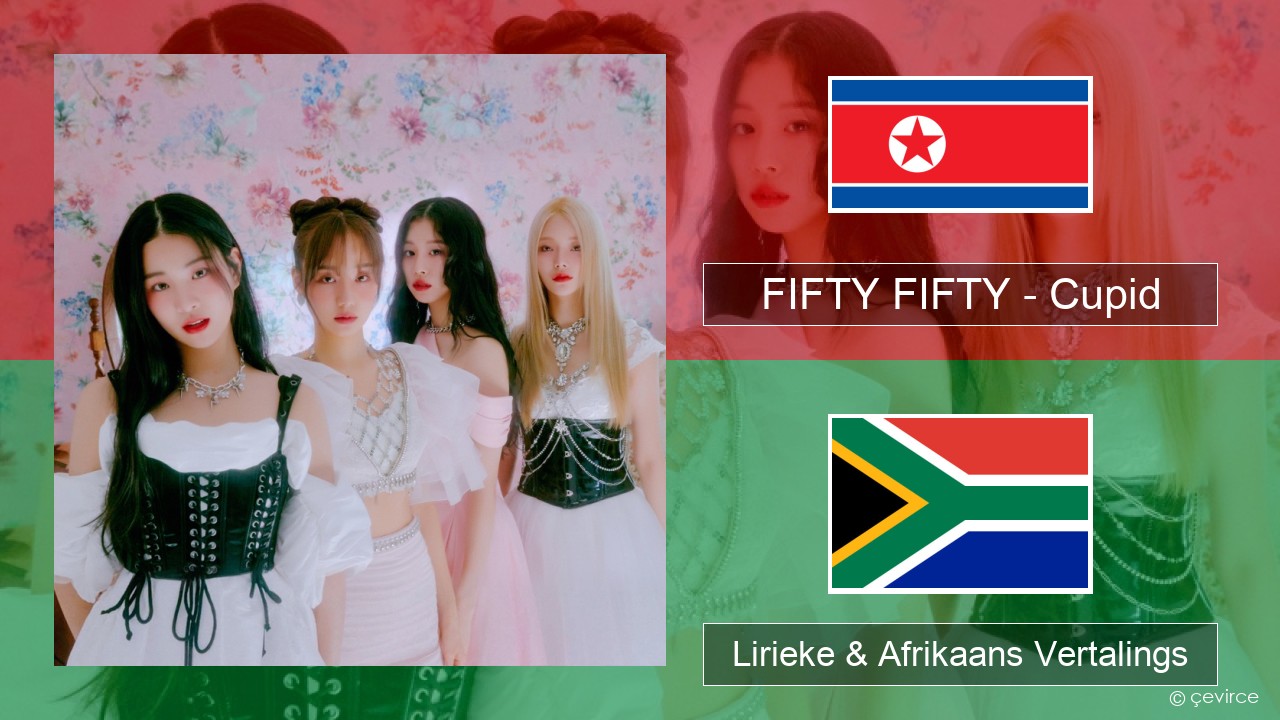 FIFTY FIFTY – Cupid Koreaans Lirieke & Afrikaans Vertalings