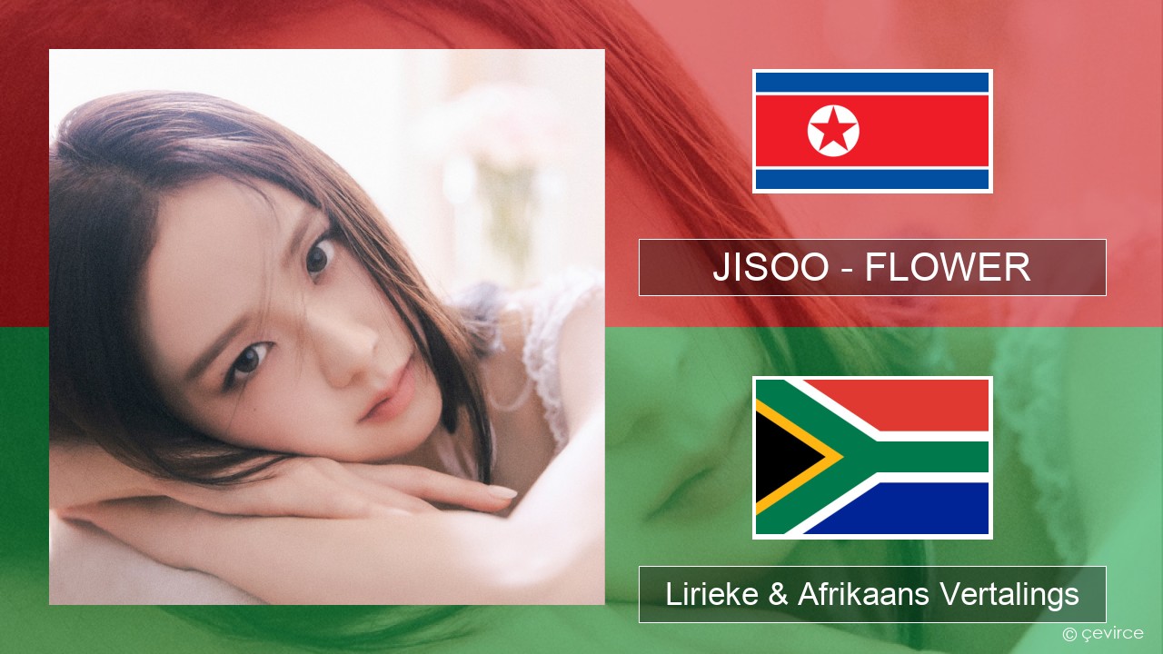 JISOO – FLOWER Koreaans Lirieke & Afrikaans Vertalings