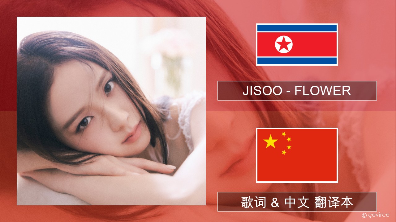 JISOO – FLOWER 韩国人 歌词 & 中文 翻译本