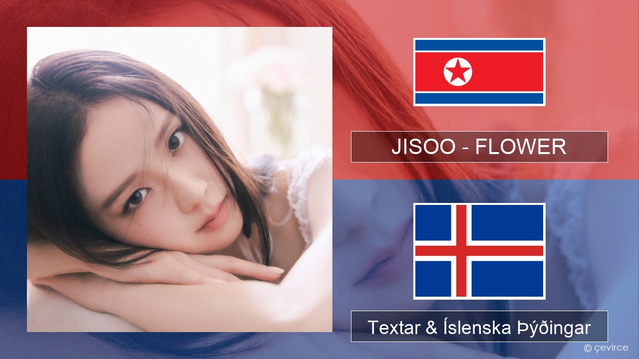 JISOO – FLOWER Kóreska Textar & Íslenska Þýðingar