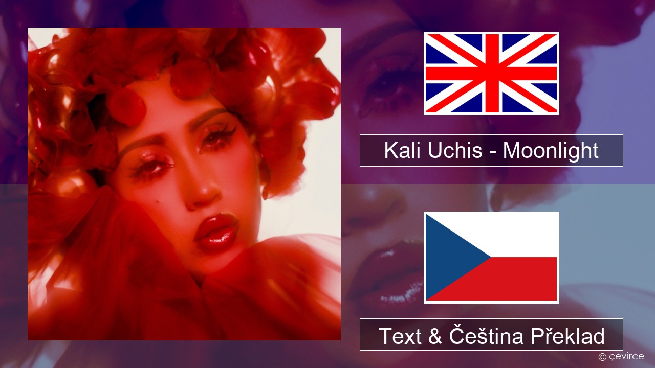 Kali Uchis – Moonlight Anglický Text & Čeština Překlad