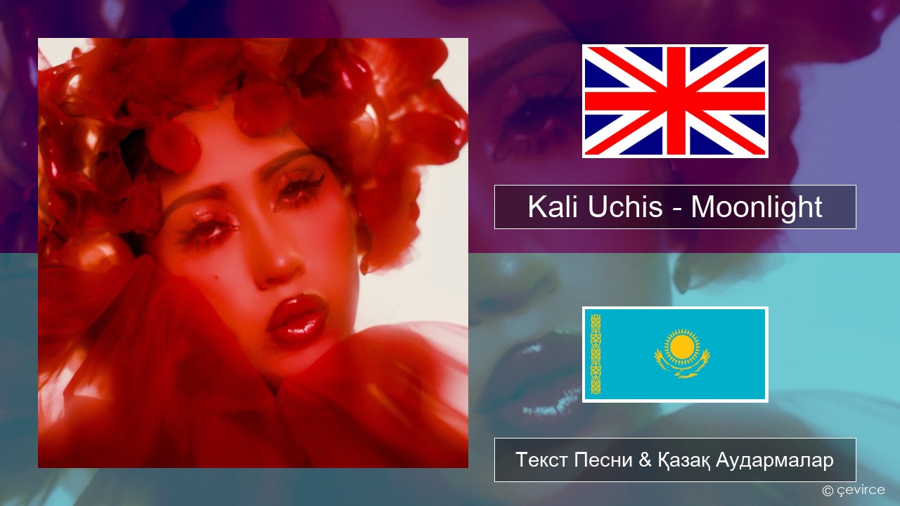Kali Uchis – Moonlight Ағылшын Текст Песни & Қазақ Аудармалар