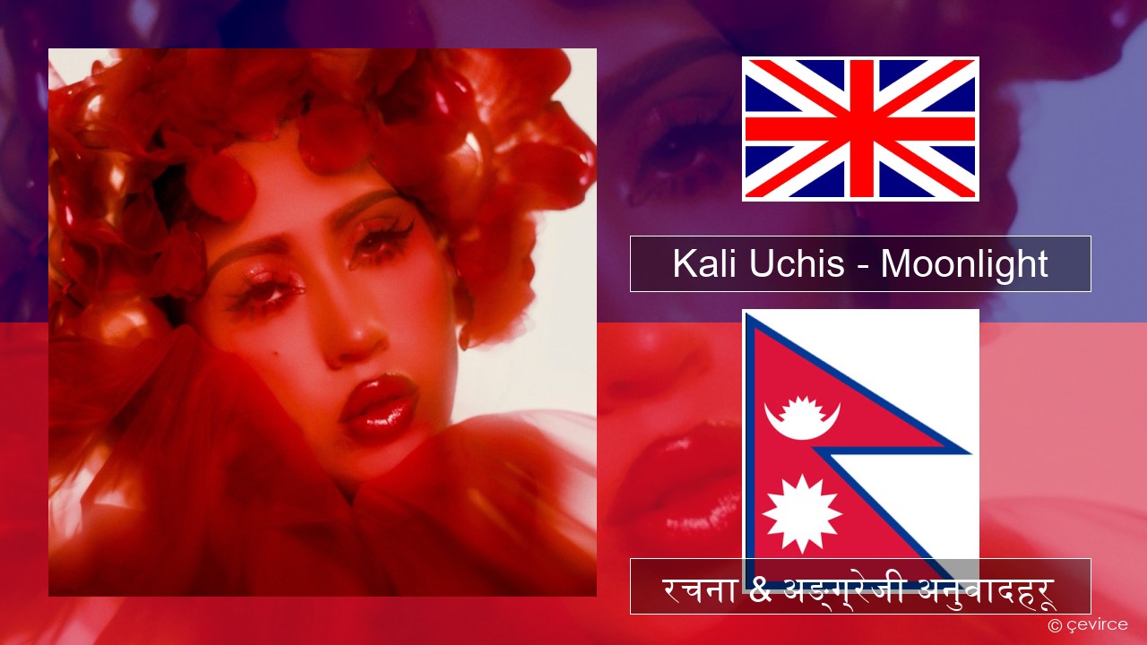 Kali Uchis – Moonlight अंग्रेजि रचना & अङ्ग्रेजी अनुवादहरू