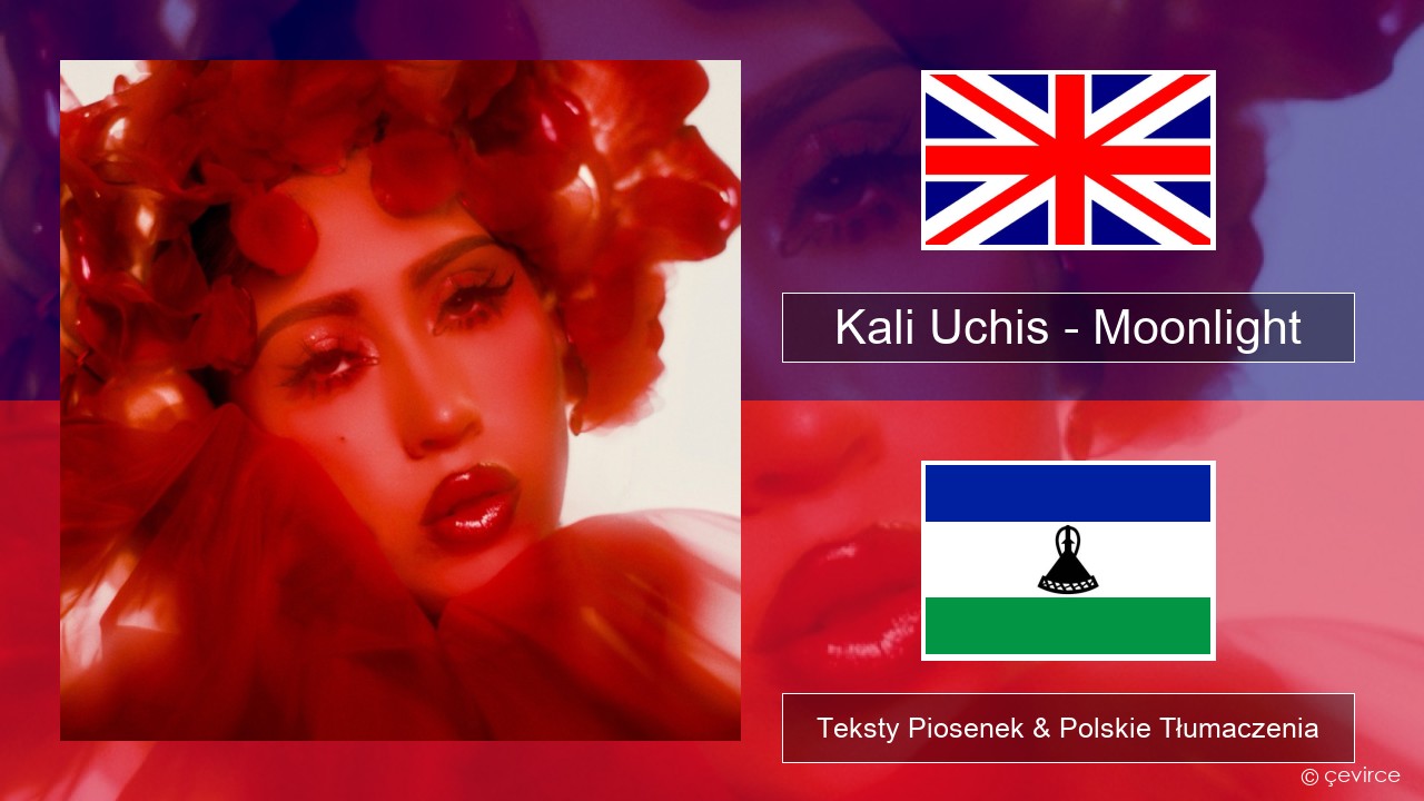 Kali Uchis – Moonlight Polski Teksty Piosenek & Polskie Tłumaczenia