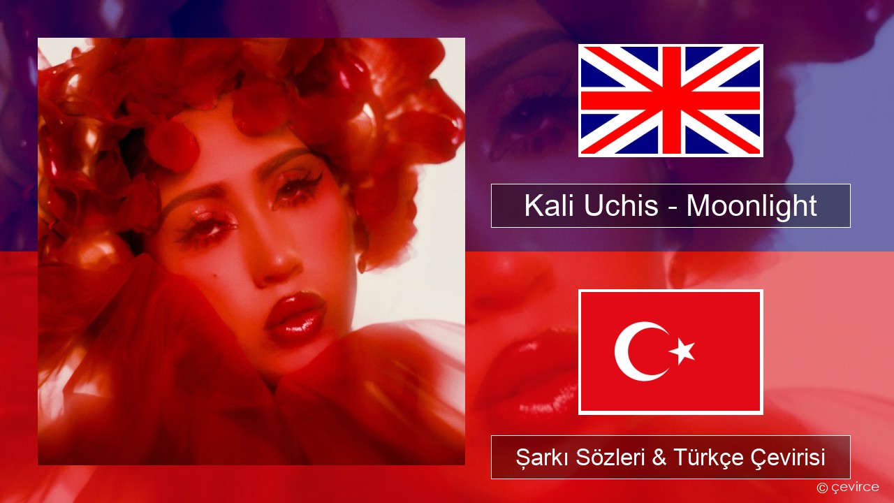 Kali Uchis – Moonlight İngilizce Şarkı Sözleri & Türkçe Çevirisi