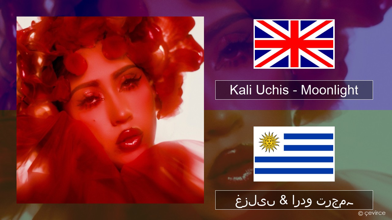 Kali Uchis – Moonlight انگریزی غزلیں & اردو ترجمہ