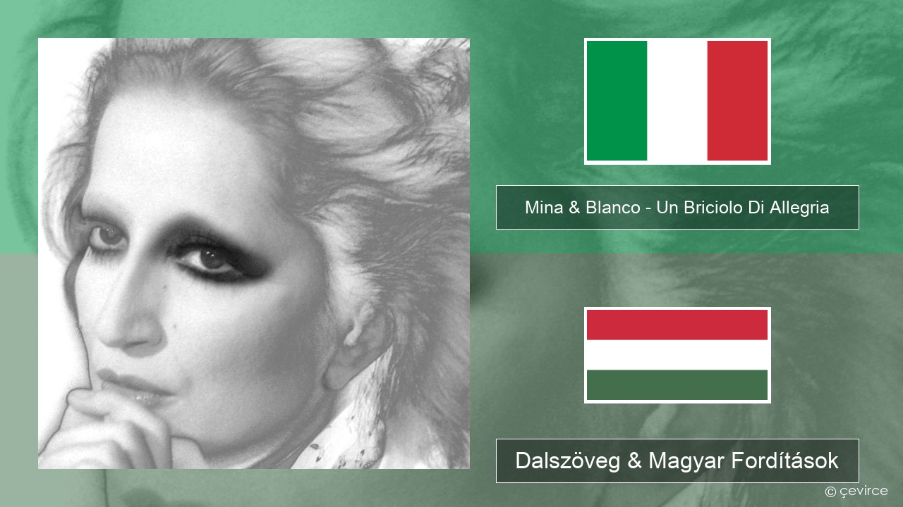 Mina & Blanco – Un Briciolo Di Allegria (con Blanco) Olasz Dalszöveg & Magyar Fordítások