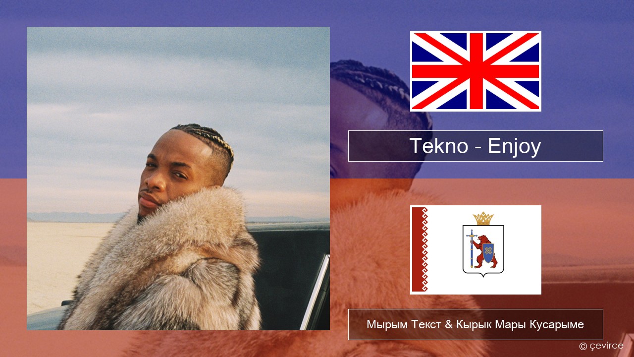 Tekno – Enjoy Англичан Мырым Текст & Кырык Мары Кусарыме