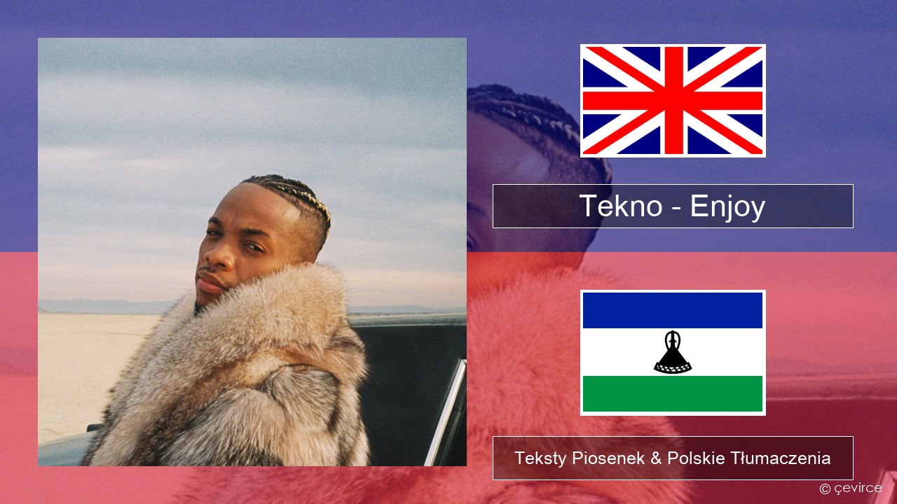 Tekno – Enjoy Polski Teksty Piosenek & Polskie Tłumaczenia