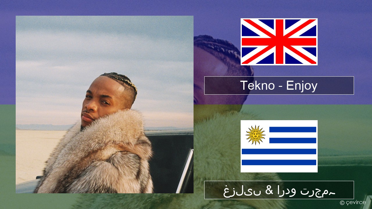 Tekno – Enjoy انگریزی غزلیں & اردو ترجمہ