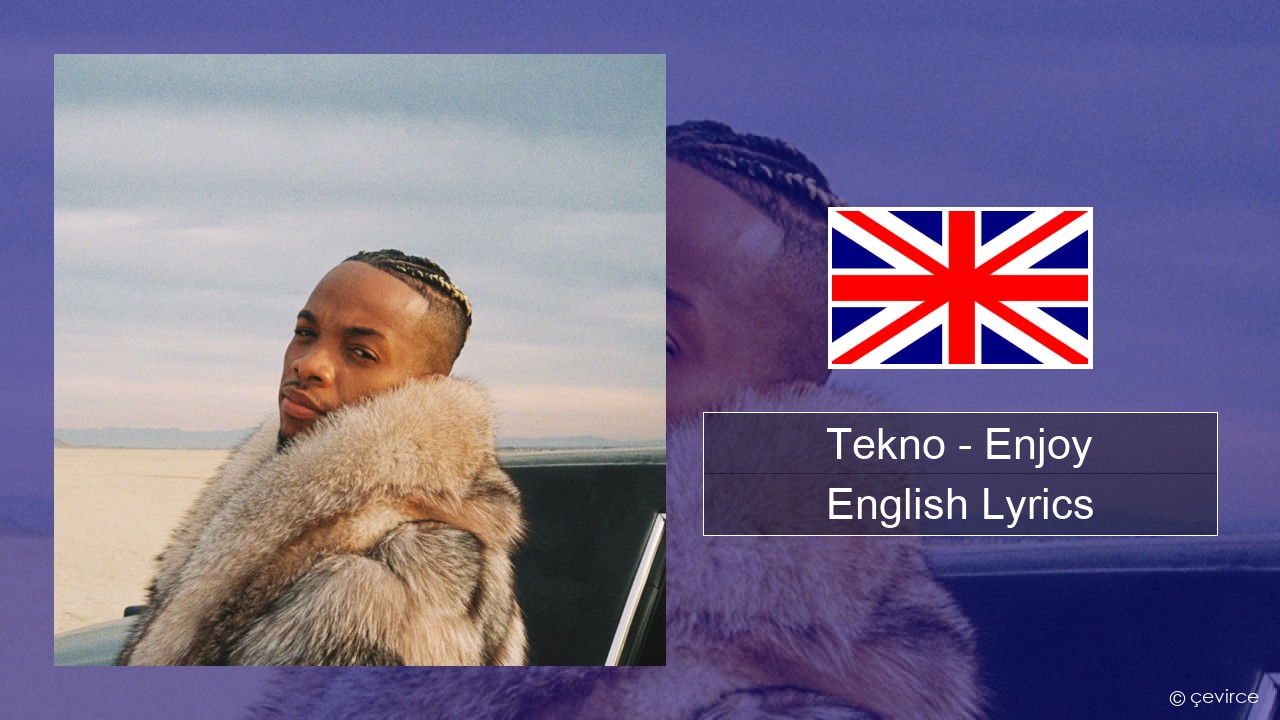 Tekno – Enjoy English Lyrics