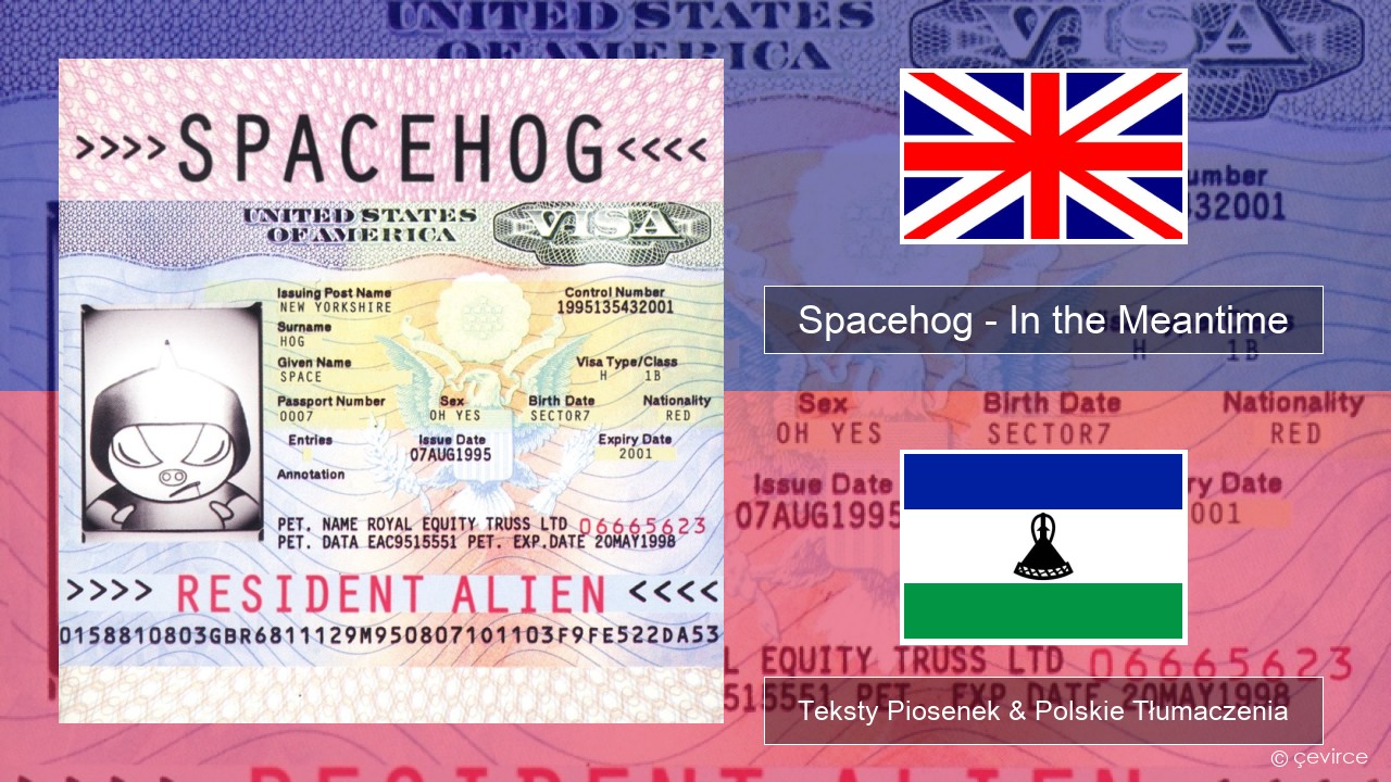 Spacehog – In the Meantime Polski Teksty Piosenek & Polskie Tłumaczenia