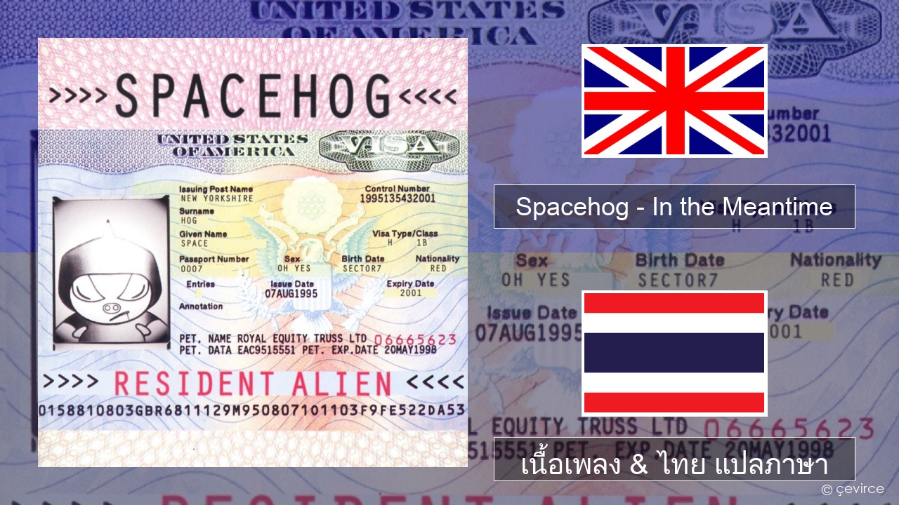Spacehog – In the Meantime ภาษาไทย เนื้อเพลง & ไทย แปลภาษา