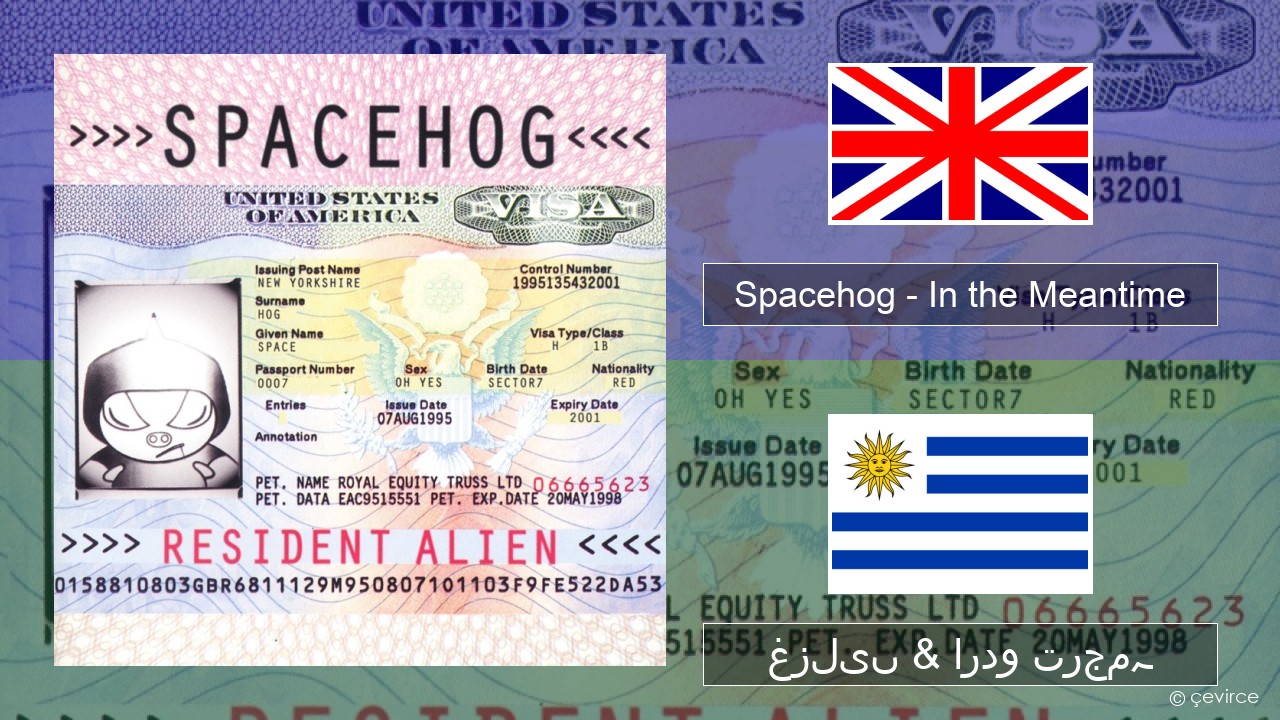 Spacehog – In the Meantime انگریزی غزلیں & اردو ترجمہ
