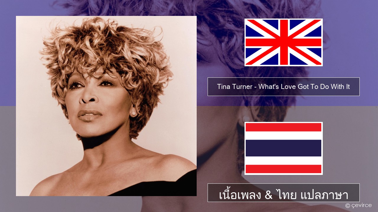 Tina Turner – What’s Love Got To Do With It ภาษาไทย เนื้อเพลง & ไทย แปลภาษา